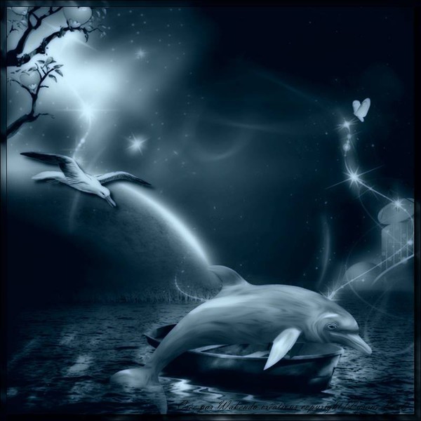   Mes Créations by Wakenda©