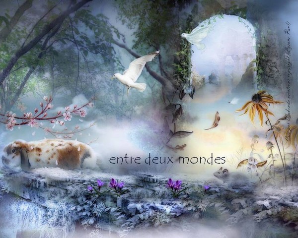   Mes Créations by Wakenda©